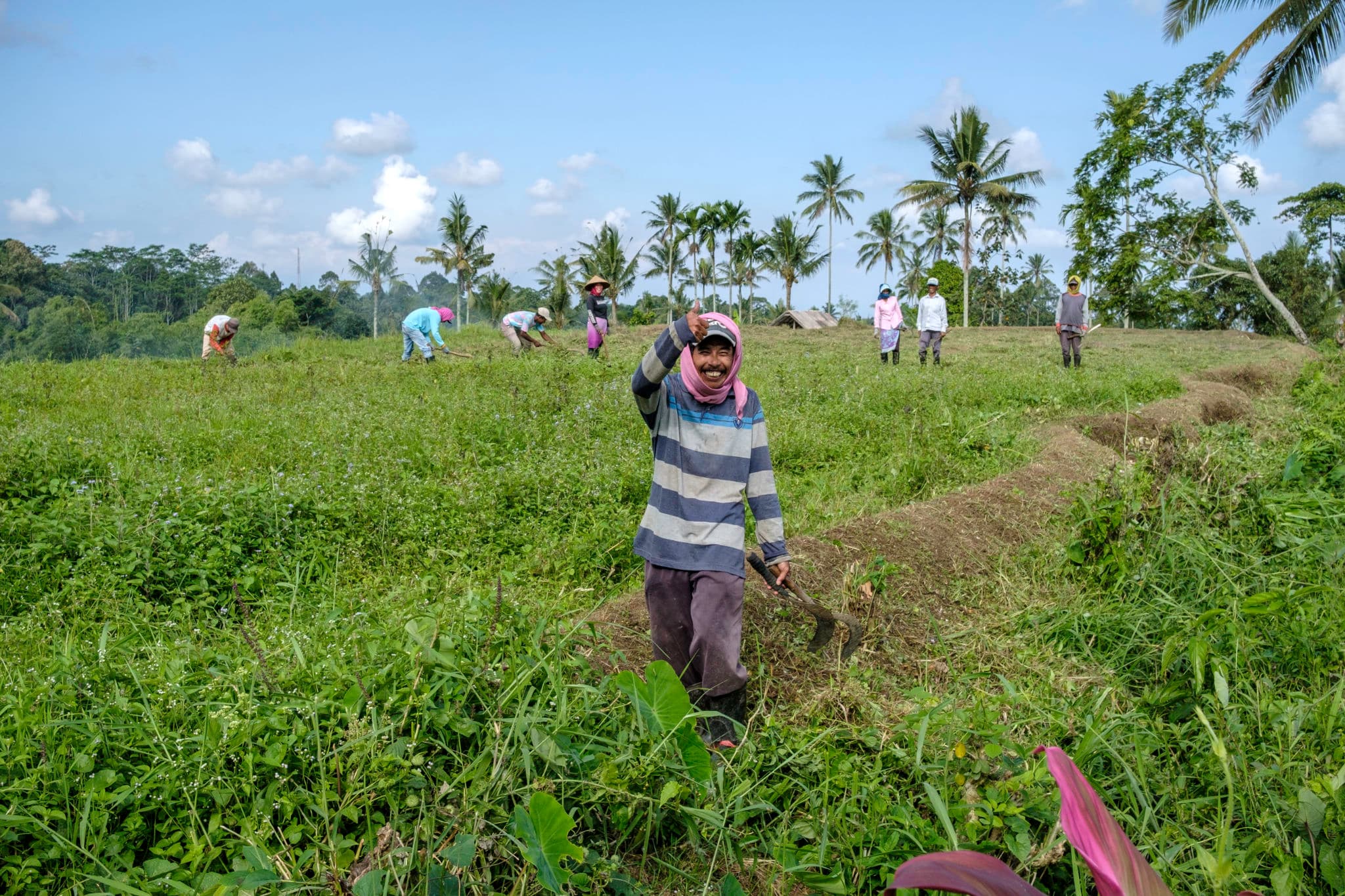 Banyuwangi